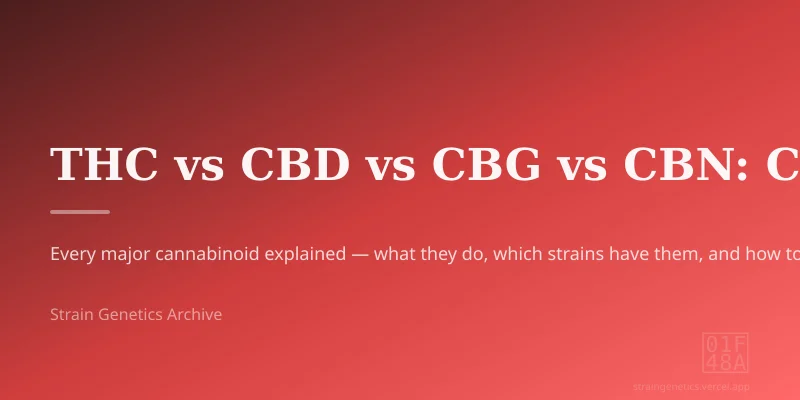 THC vs CBD vs CBG vs CBN: Cannabinoid Guide