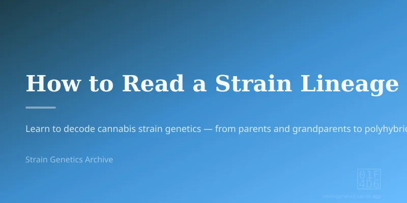 How to Read a Strain Lineage