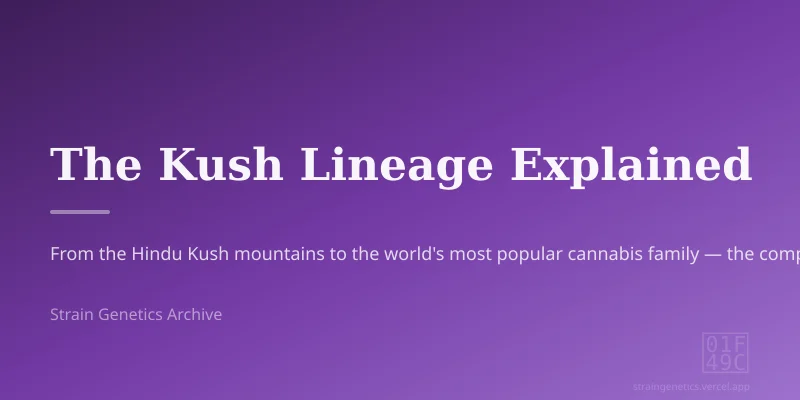The Kush Lineage Explained