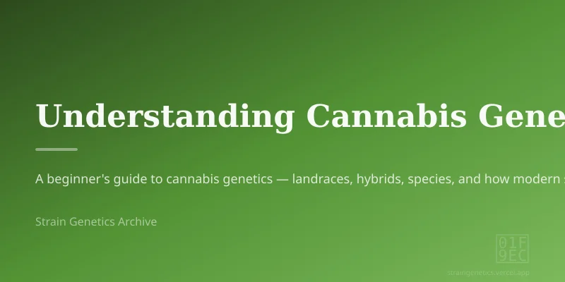 Understanding Cannabis Genetics
